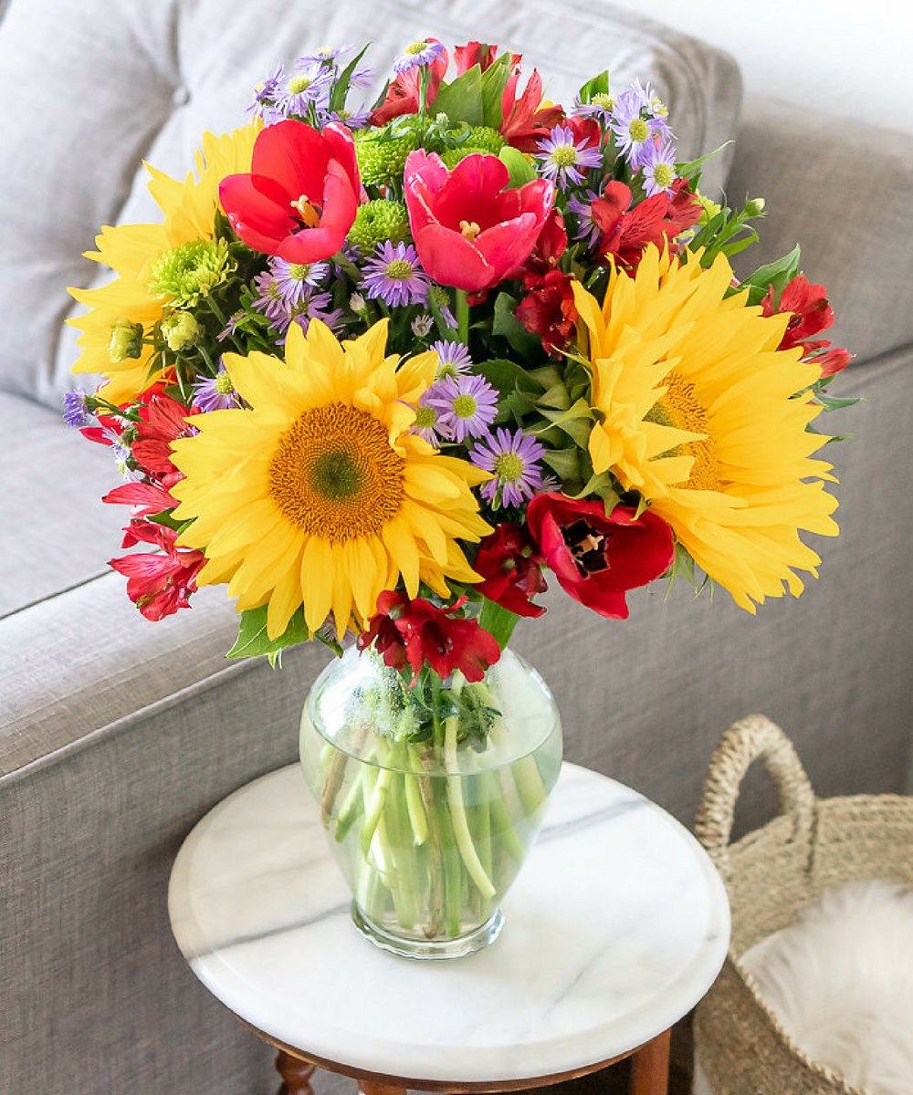 Sunflower Surprise