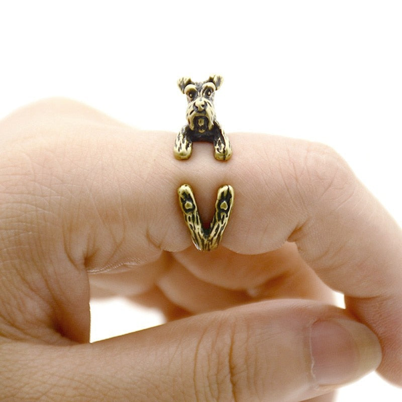 Schnauzer & Rat Terrier Dog Ring