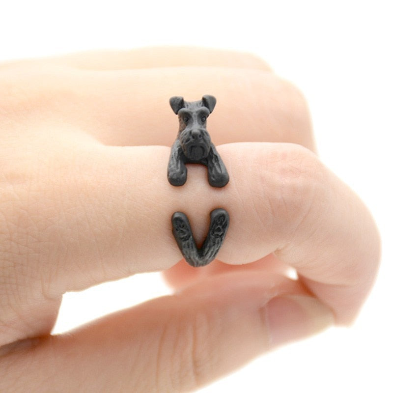 Schnauzer & Rat Terrier Dog Ring